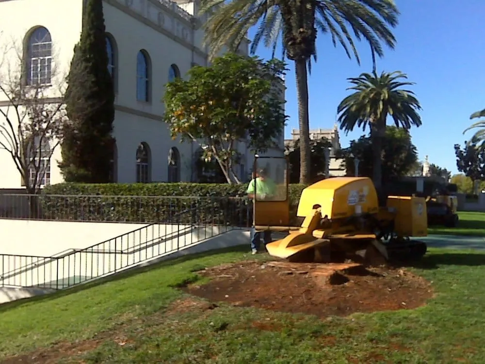 Local outdoor landscaping for residential properties in Santee, CA by Gordy's Stump Grinding