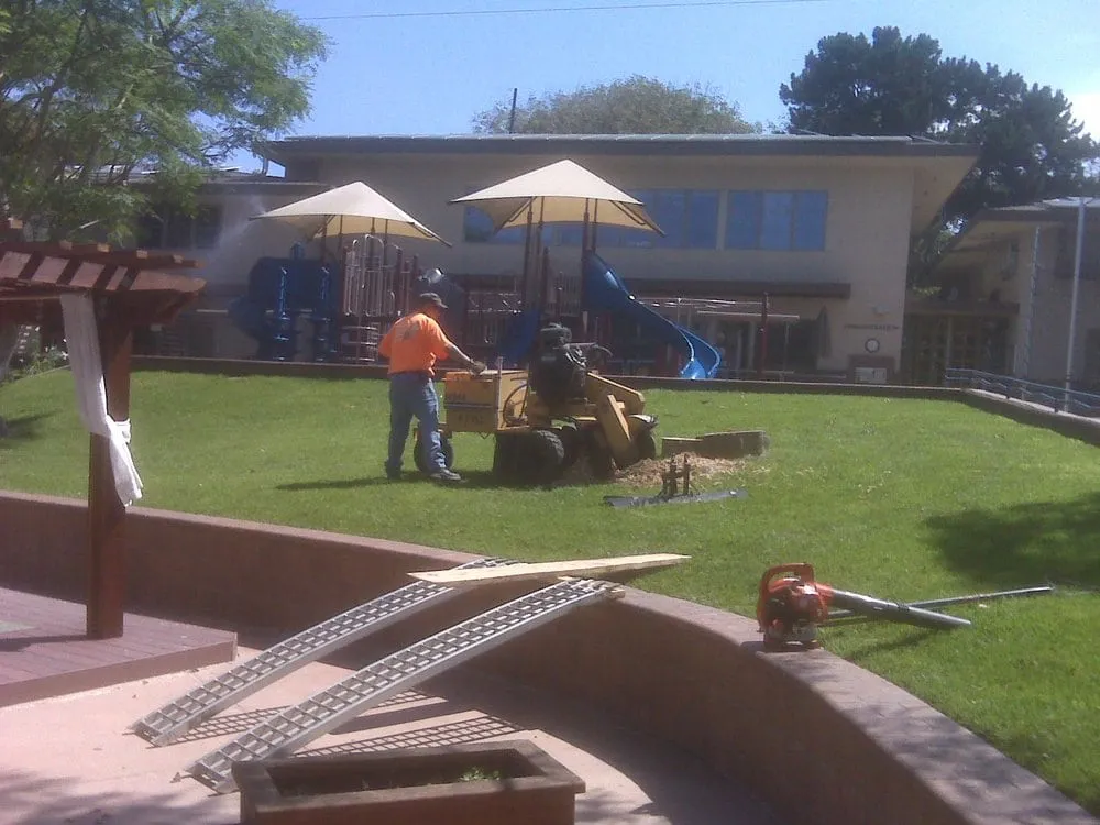 Local garden landscaping in Santee, CA by Gordy's Stump Grinding