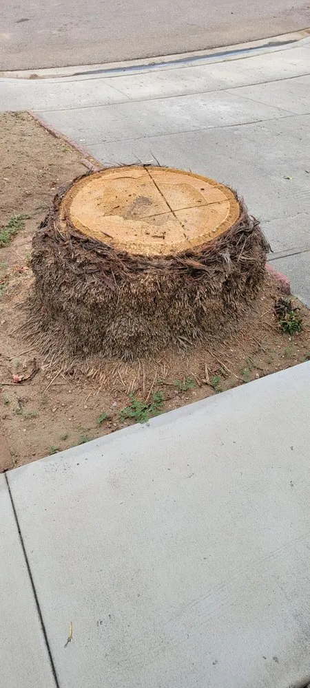 Expert lawn mowing service in Santee, CA - Gordy's Stump Grinding
