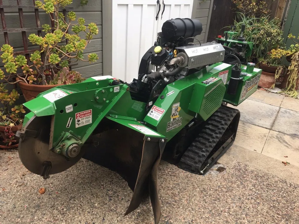 Custom lawn care service for outdoor upgrades in Santee, CA by Gordy's Stump Grinding