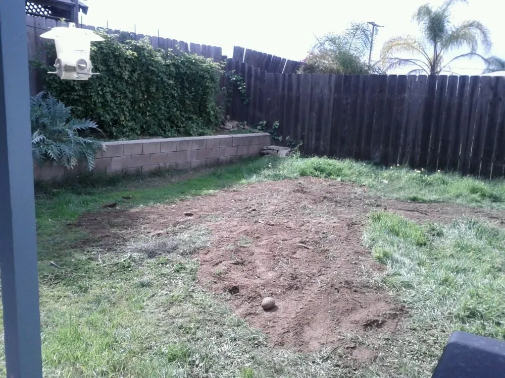 Top-rated garden landscaping near you in Santee, CA by Gordy's Stump Grinding