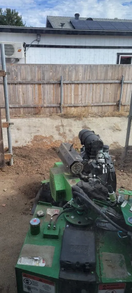 Trusted yard cleanup service in Santee, CA - Gordy's Stump Grinding