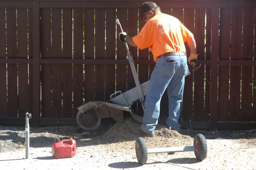 Affordable landscaping services in Santee, CA by Gordy's Stump Grinding