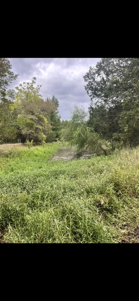 Affordable yard cleanup service near you in Greenville, TX by Gore Brothers Landscape and Lawn