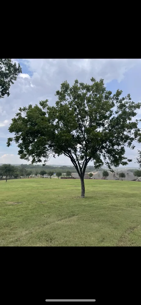 Professional landscape design with custom design in Greenville, TX by Gore Brothers Landscape and Lawn