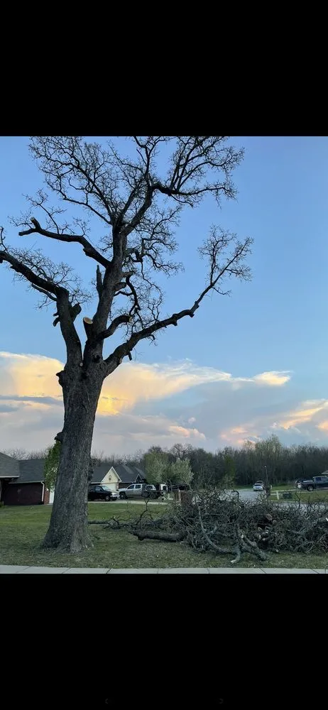 Custom landscape installation in Greenville, TX by Gore Brothers Landscape and Lawn