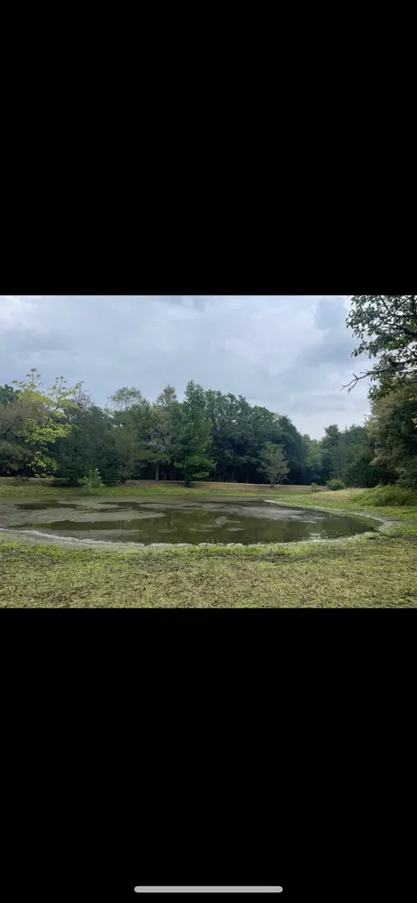 Professional garden landscaping for residential properties in Greenville, TX by Gore Brothers Landscape and Lawn