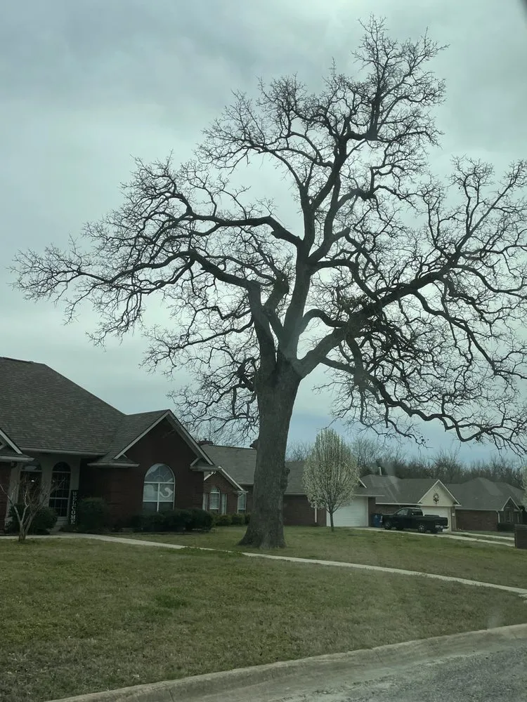 Top-rated lawn mowing service experts serving Greenville, TX - Gore Brothers Landscape and Lawn