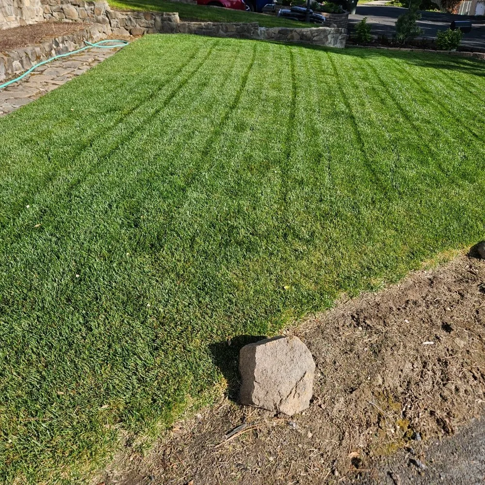 Trusted yard cleanup service for year-round maintenance across The Dalles, OR - Gorge Us Lawncare