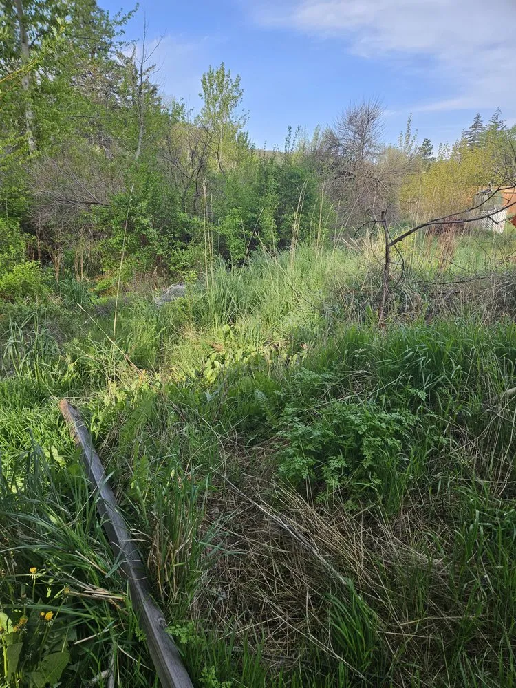 Trusted yard maintenance for homes across The Dalles, OR - Gorge Us Lawncare