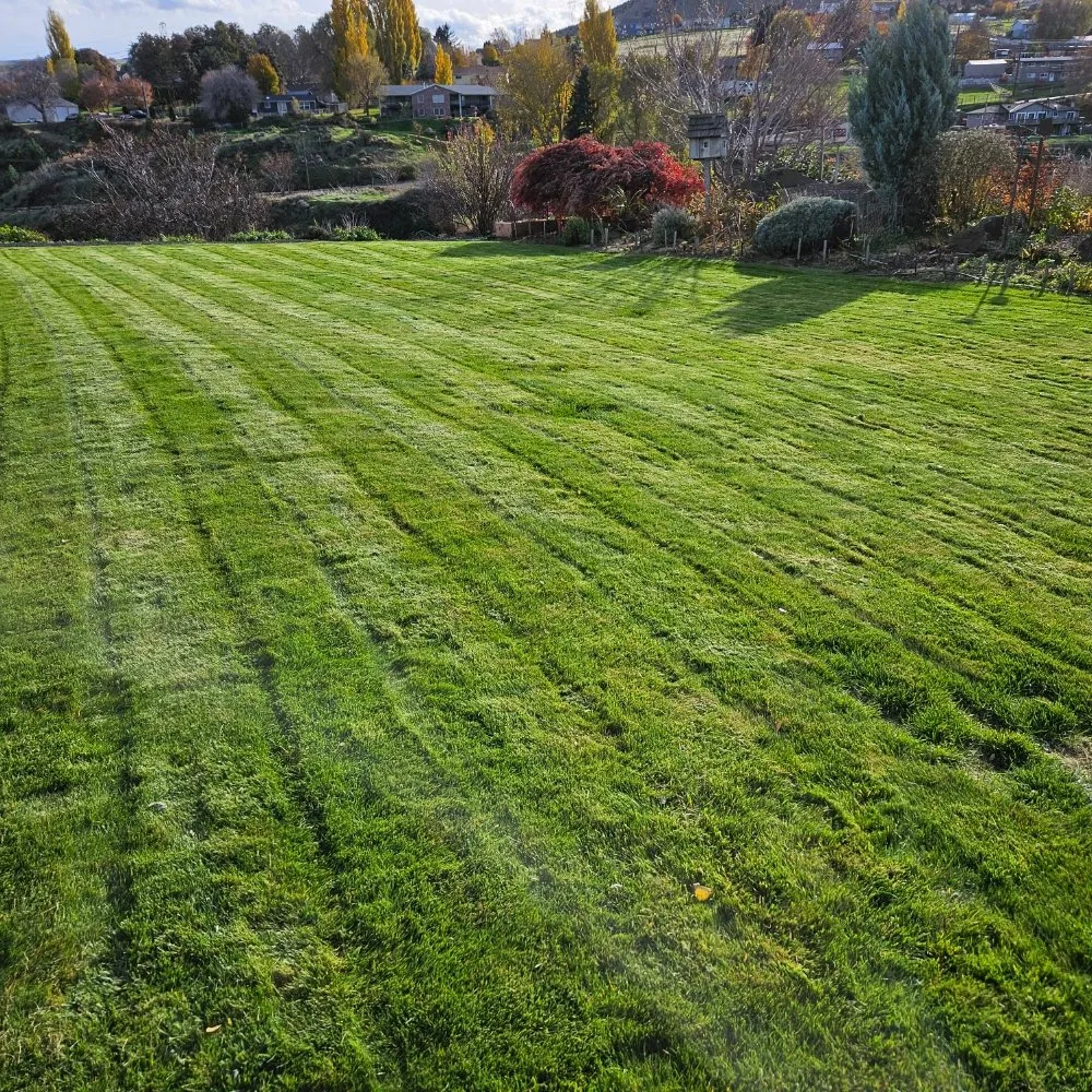 Reliable landscape design for outdoor upgrades across The Dalles, OR - Gorge Us Lawncare