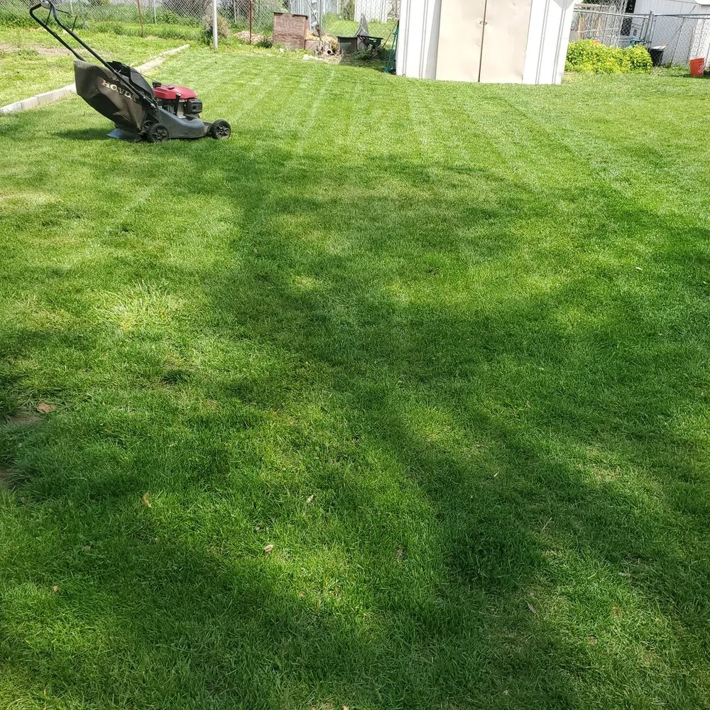 Affordable landscaping services for outdoor upgrades across The Dalles, OR - Gorge Us Lawncare