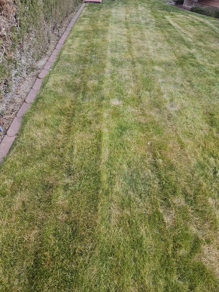 Expert garden landscaping for year-round maintenance in The Dalles, OR by Gorge Us Lawncare