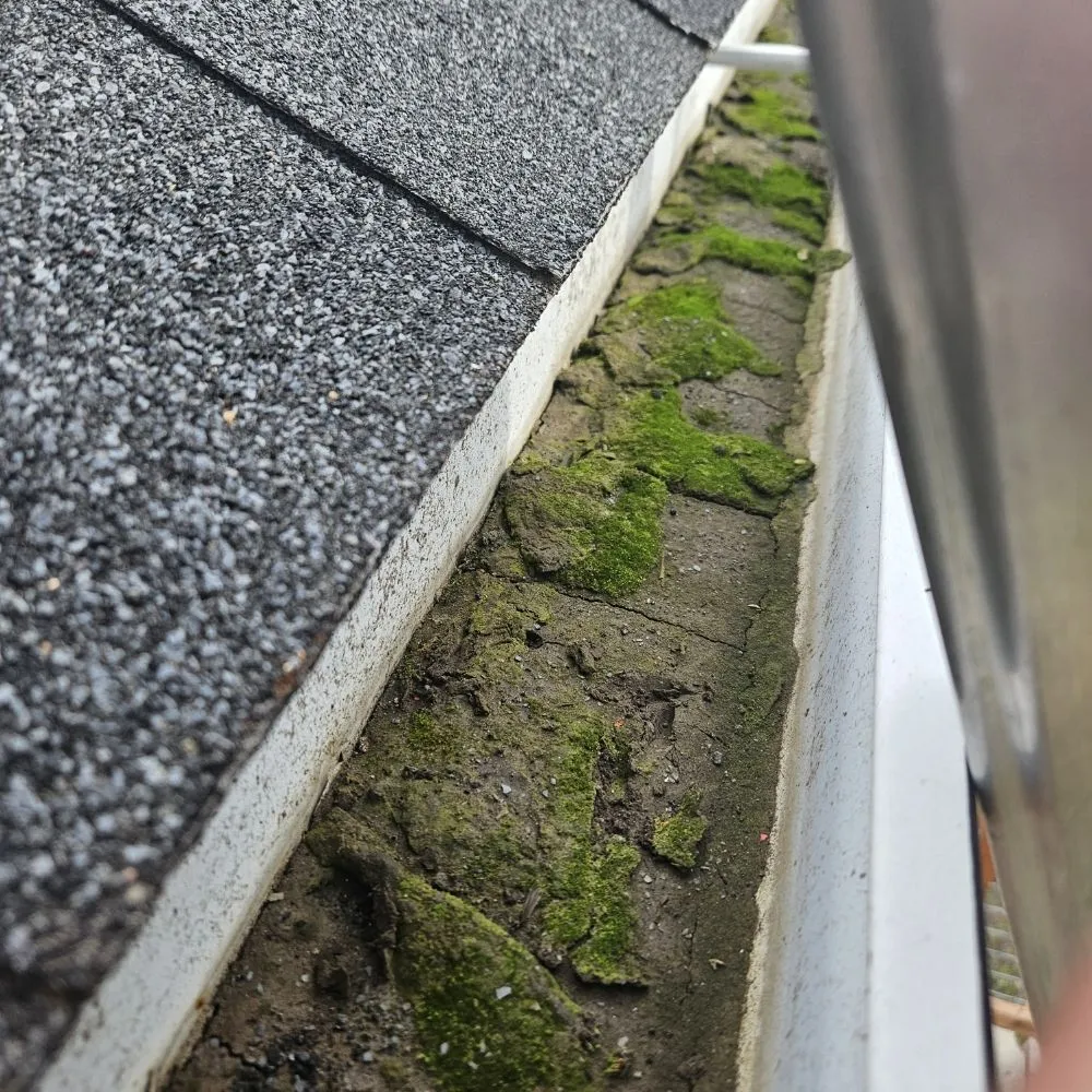 Professional garden landscaping near you in The Dalles, OR by Gorge Us Lawncare