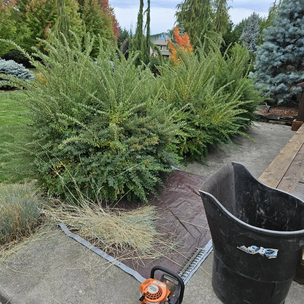 Expert residential landscaping in The Dalles, OR - Gorge Us Lawncare