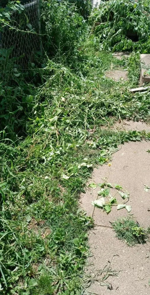 Expert lawn care service experts serving Portsmouth, OH - Gorgeous Greens