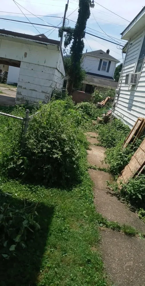 Professional lawn mowing service in Portsmouth, OH - Gorgeous Greens