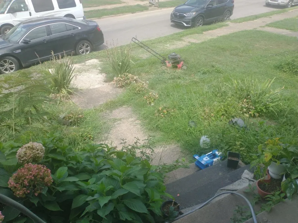 Affordable landscape design in Portsmouth, OH - Gorgeous Greens