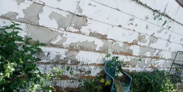 Gorgeous Greens Logo