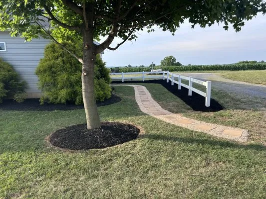 Gorgo Land Management