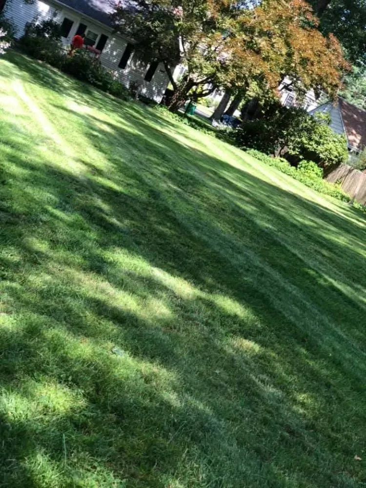 Local landscape design experts serving Tarboro, NC - Gorham's Landscaping