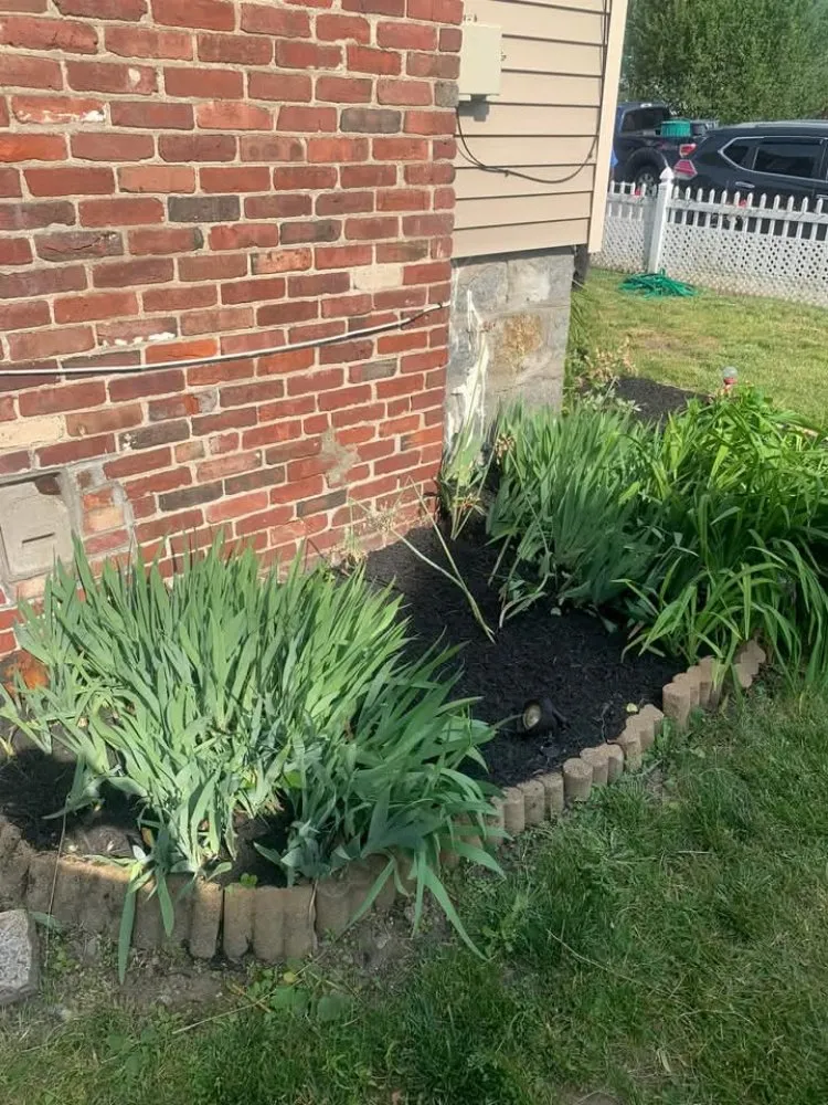 Local yard maintenance in Tarboro, NC by Gorham's Landscaping