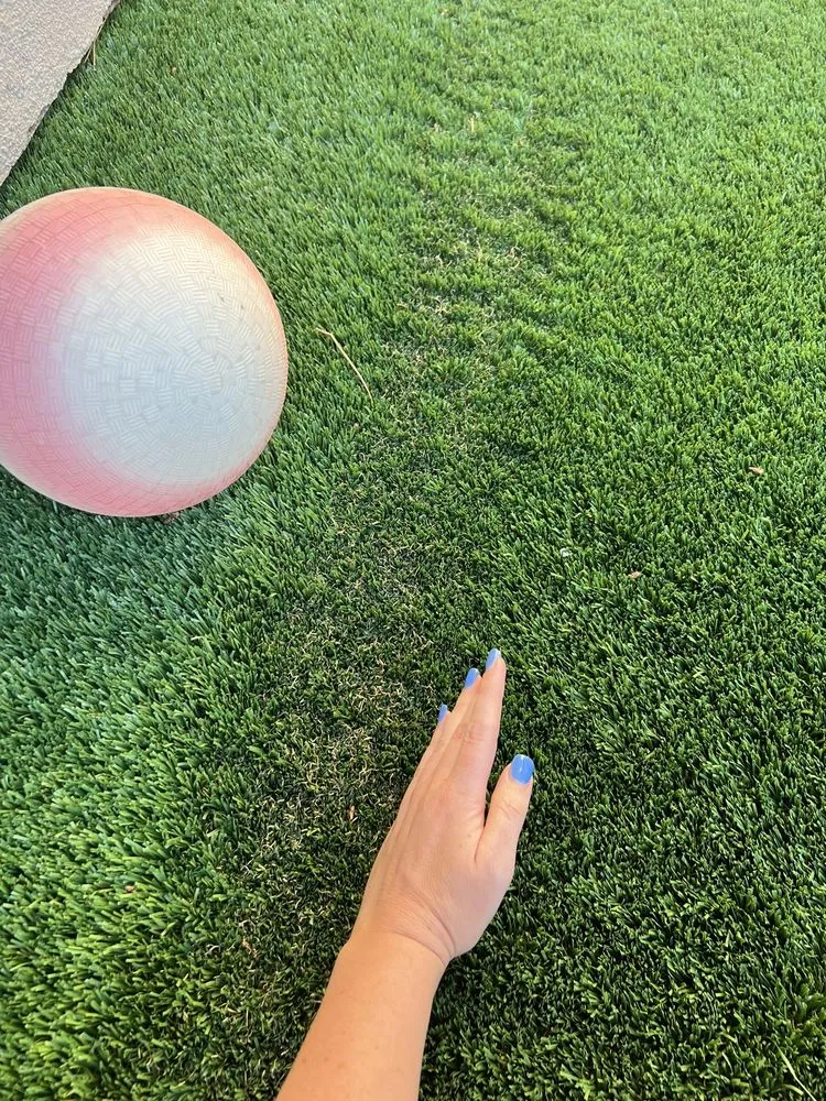 Trusted landscape installation experts serving Dana Point, CA - Gorilla Grass