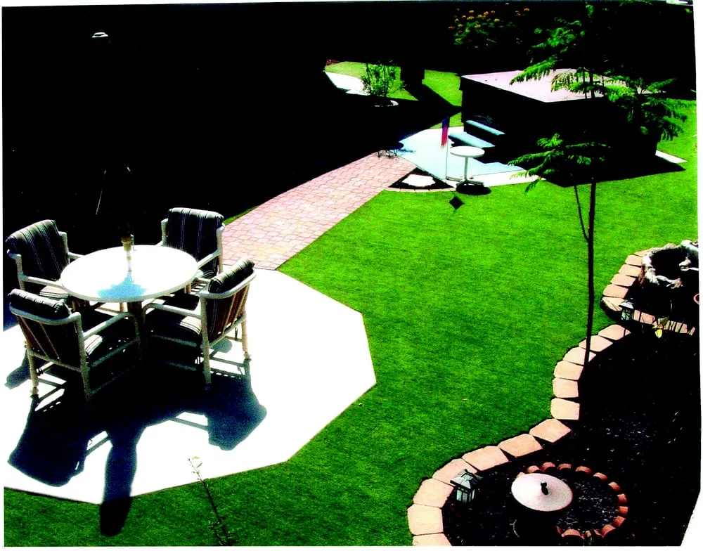 Professional yard cleanup service in Dana Point, CA - Gorilla Grass