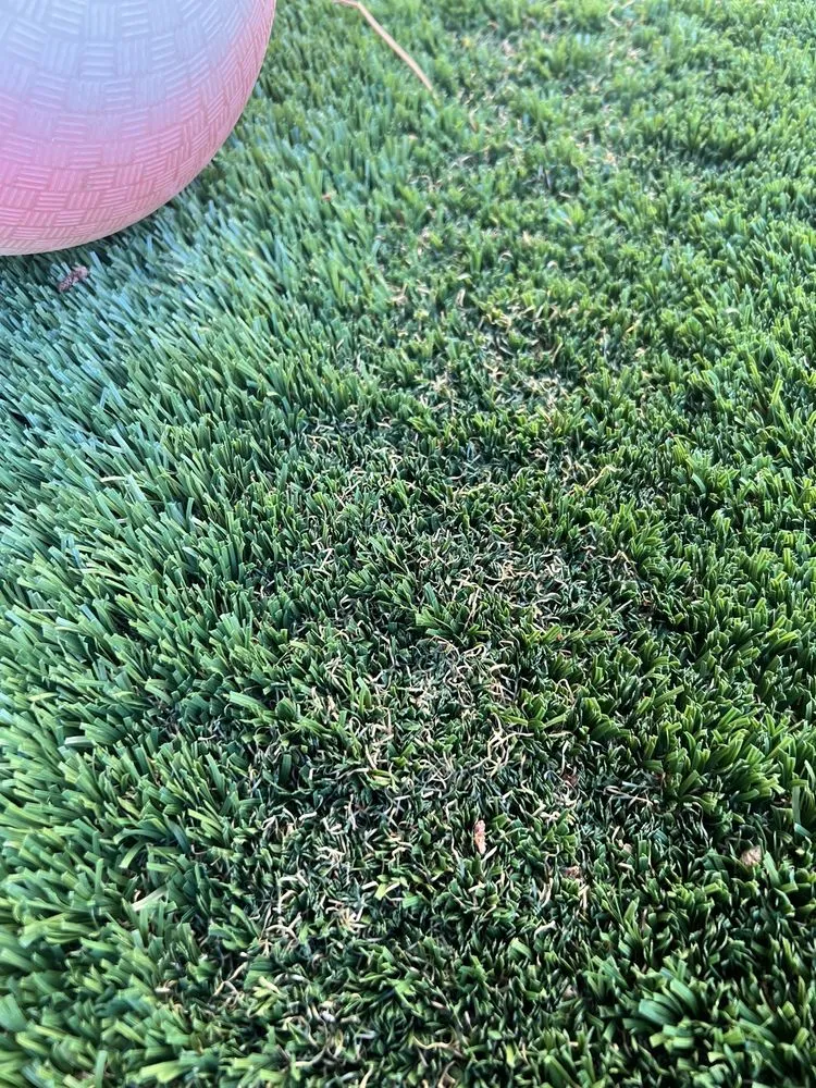 Trusted lawn care service for homes in Dana Point, CA by Gorilla Grass