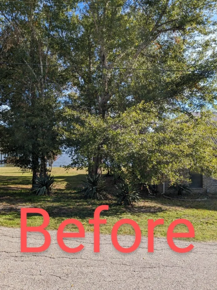 Professional yard cleanup service with custom design across Onalaska, TX - Gorilla Greg's Tree Service