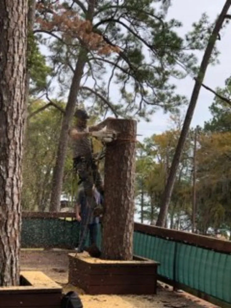 Professional landscape installation for residential properties across Onalaska, TX - Gorilla Greg's Tree Service