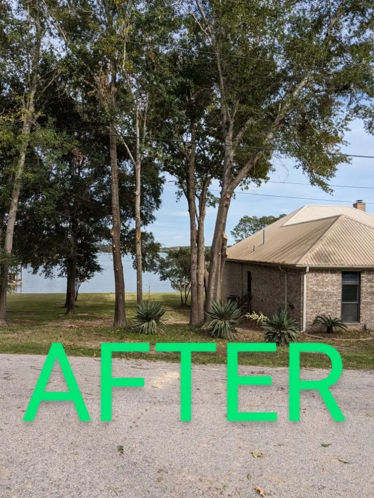 Expert landscaping services near you across Onalaska, TX - Gorilla Greg's Tree Service