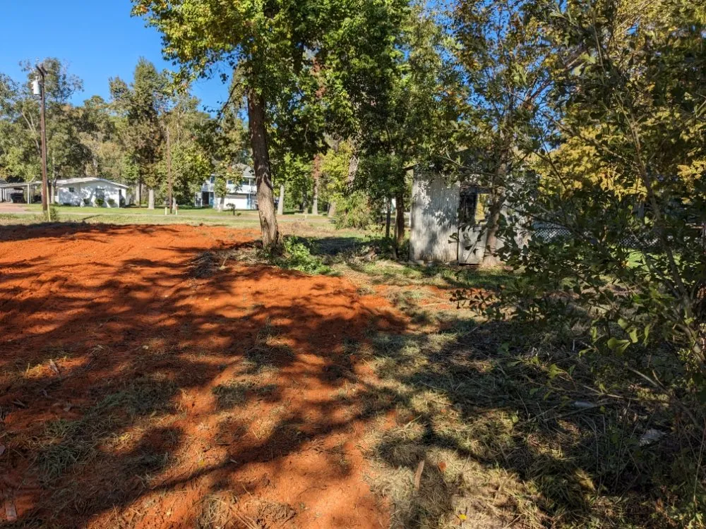 Top-rated lawn care service experts serving Onalaska, TX - Gorilla Greg's Tree Service