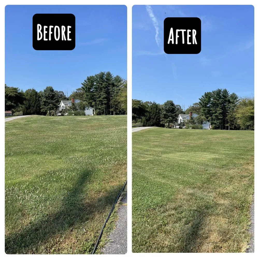 Top-rated yard maintenance experts serving Finksburg, MD - Gorilla Home Care