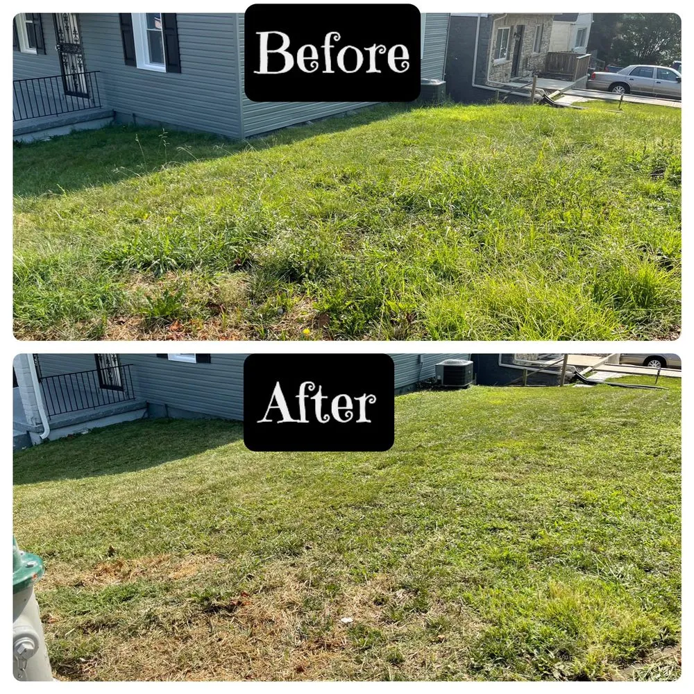 Top-rated residential landscaping experts serving Finksburg, MD - Gorilla Home Care