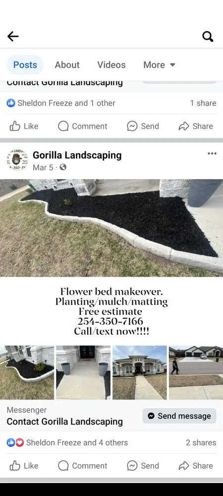 Affordable landscaping services for year-round maintenance across Killeen, TX - Gorilla Landscaping