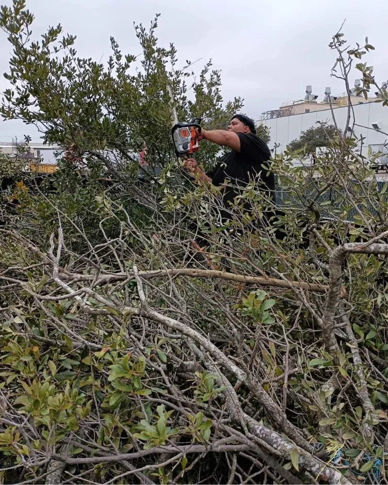 Expert yard maintenance experts serving Killeen, TX - Gorilla Landscaping