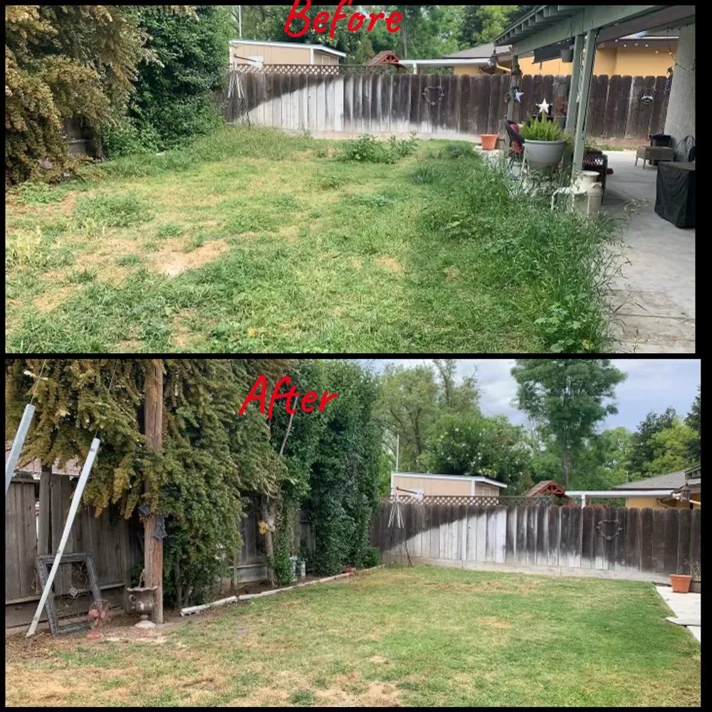 Local lawn care service for beautiful yards across Merced, CA - Gorilla Lawn & Landscape Care