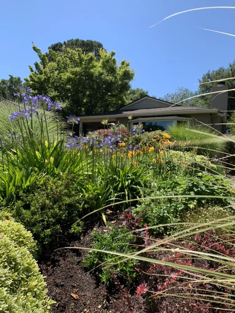 Affordable yard maintenance in Merced, CA by Gorilla Lawn & Landscape Care