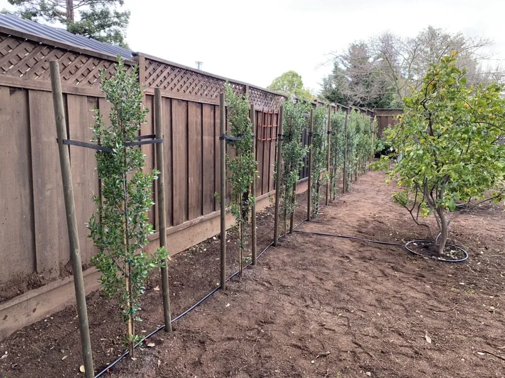 Local garden landscaping for beautiful yards across Merced, CA - Gorilla Lawn & Landscape Care