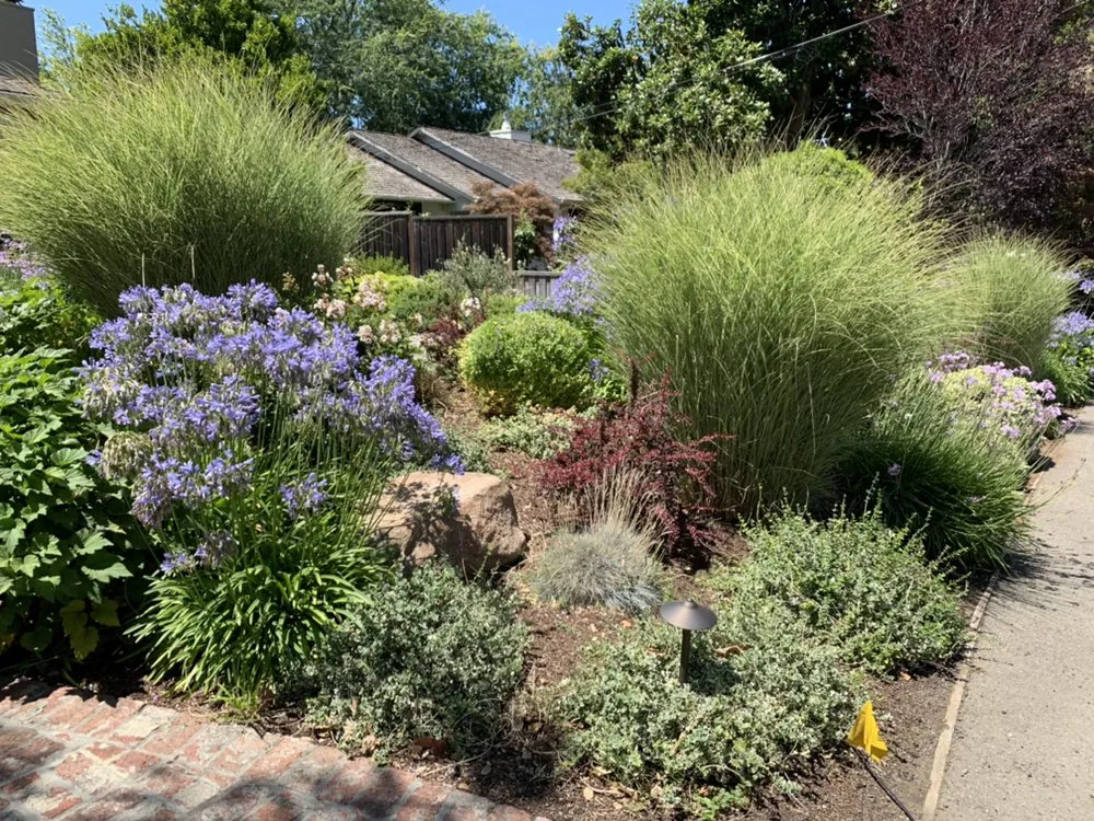 Trusted landscaping services experts serving Merced, CA - Gorilla Lawn & Landscape Care