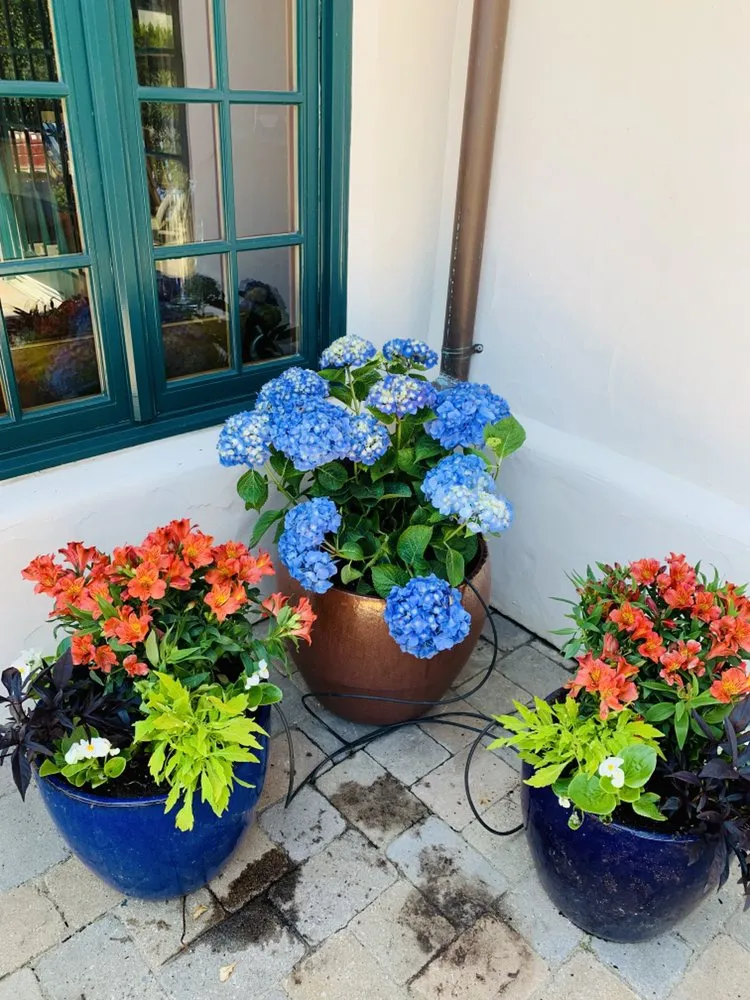 Top-rated garden landscaping experts serving Merced, CA - Gorilla Lawn & Landscape Care