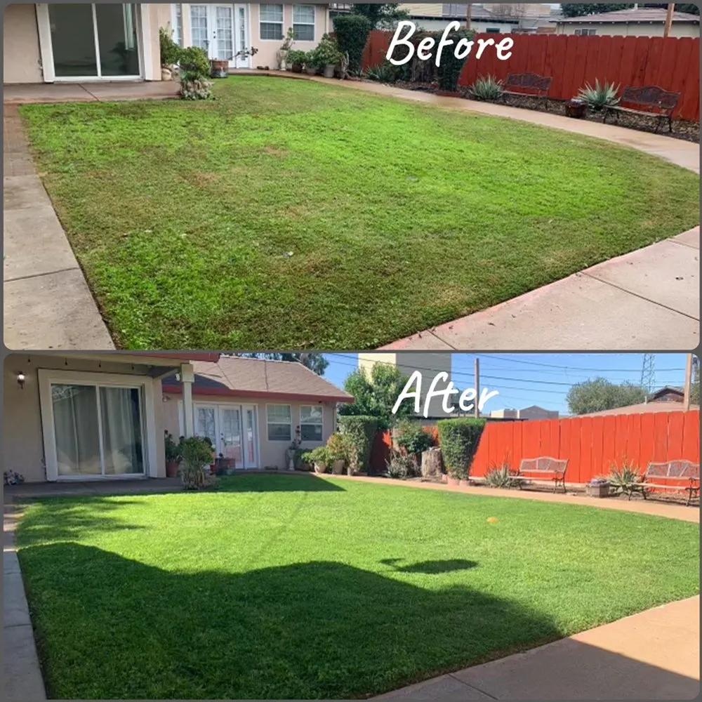 Reliable lawn care service in Merced, CA by Gorilla Lawn & Landscape Care