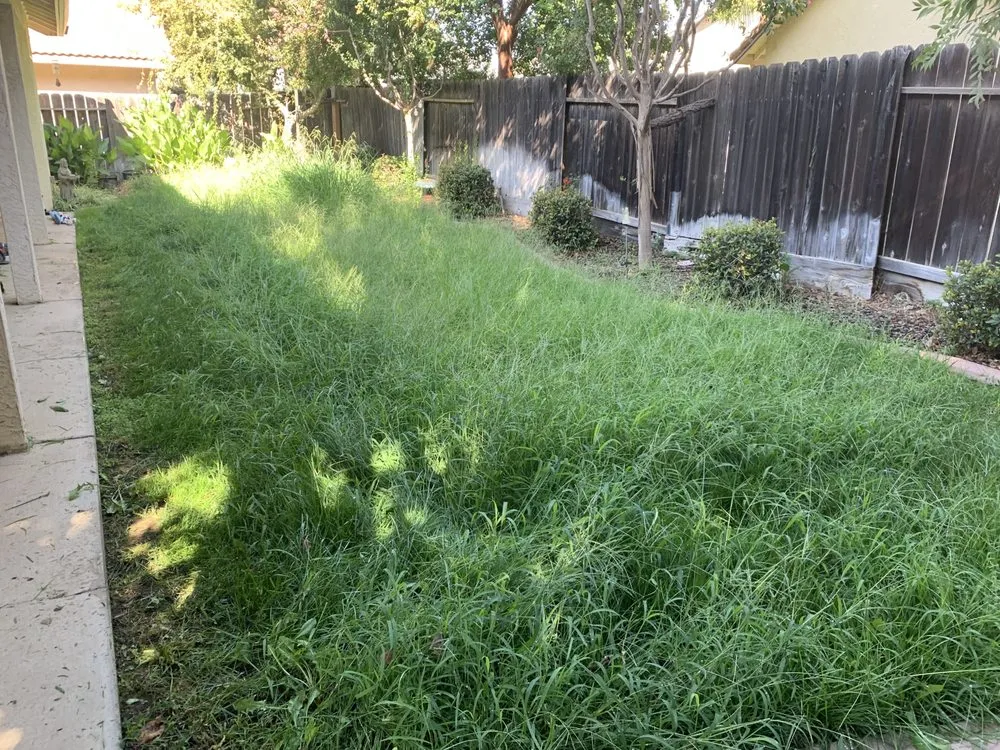 Reliable residential landscaping in Merced, CA - Gorilla Lawn & Landscape Care