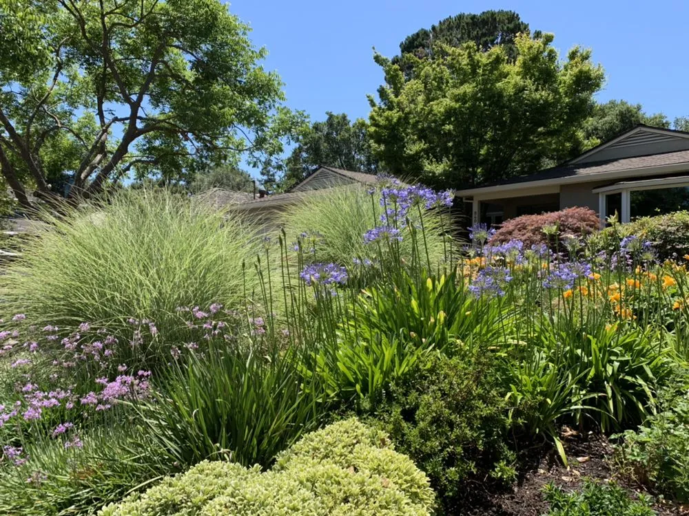 Affordable landscaping services for beautiful yards across Merced, CA - Gorilla Lawn & Landscape Care