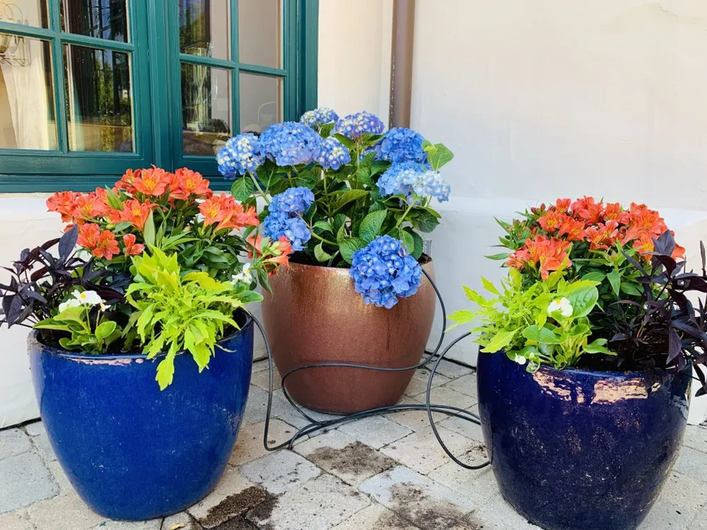 Custom landscape design experts serving Merced, CA - Gorilla Lawn & Landscape Care