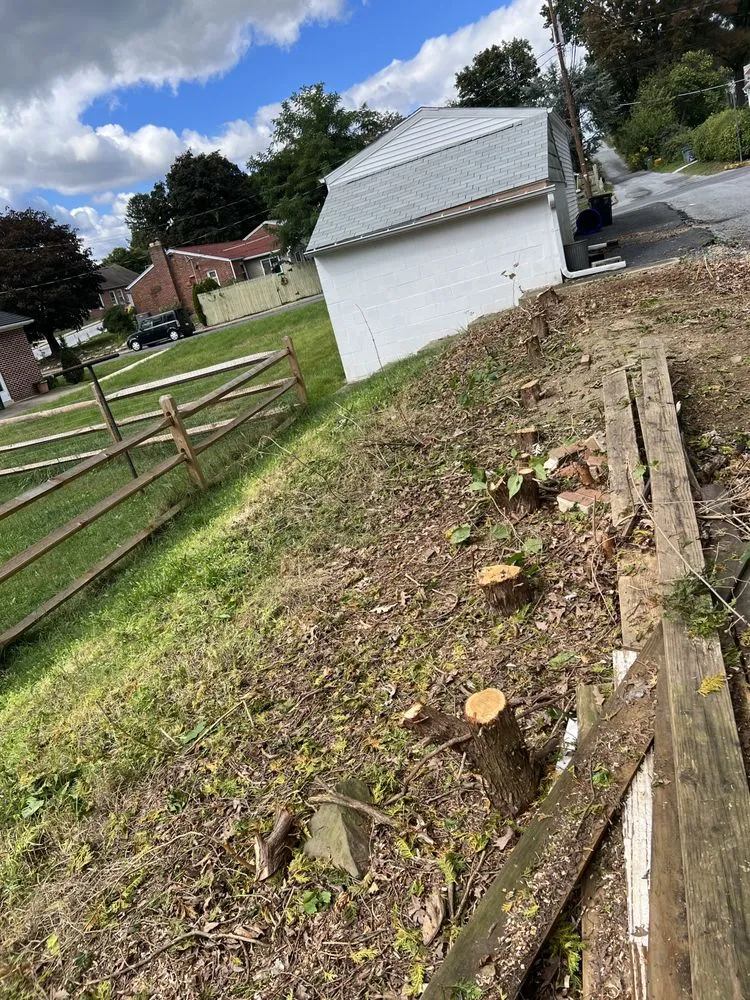 Professional garden landscaping for year-round maintenance across Swatara, PA - Gorilla Mowing