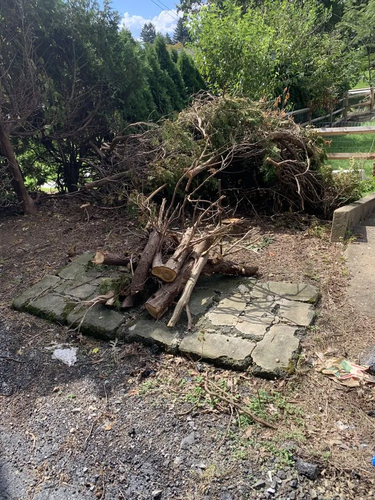 Trusted yard maintenance near you across Swatara, PA - Gorilla Mowing