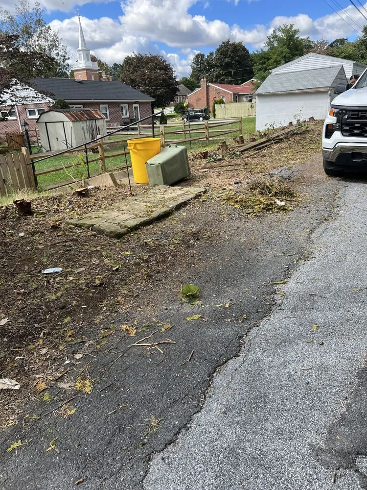 Professional lawn care service near you in Swatara, PA by Gorilla Mowing