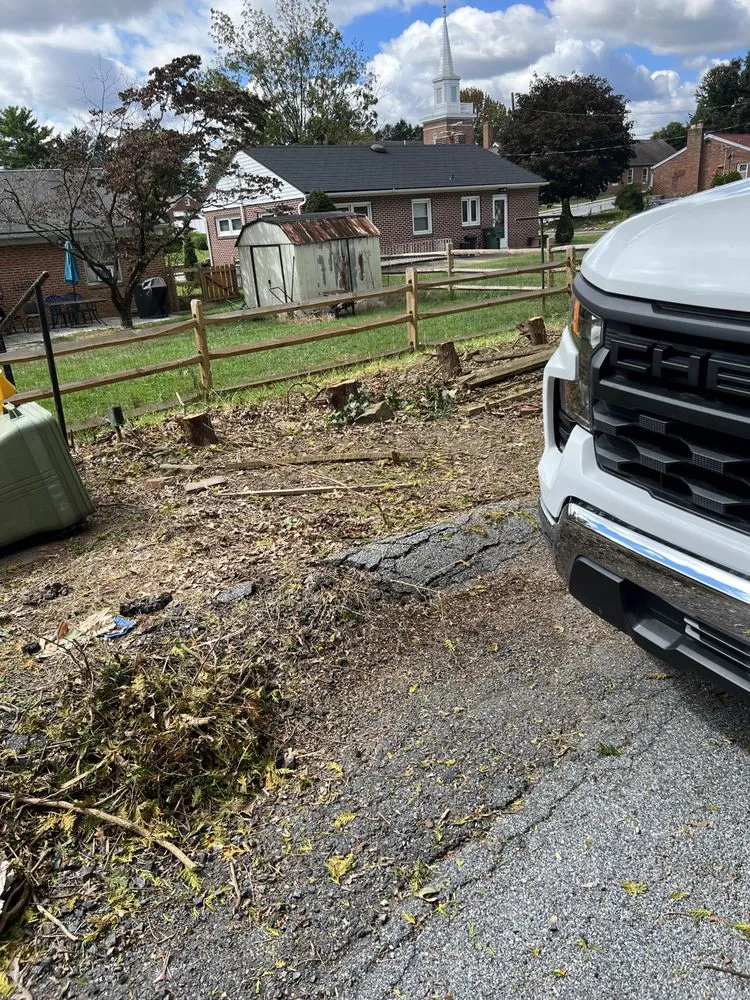 Top-rated yard maintenance experts serving Swatara, PA - Gorilla Mowing